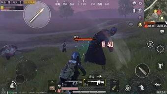 和平精英最新版本大爆料,全新内容大曝光，战局再升级！